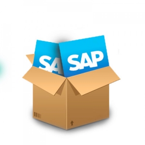 SAP používateľ profesionál